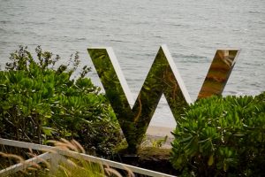 Read more about the article How to Plan a Stress-Free Destination Wedding in Goa